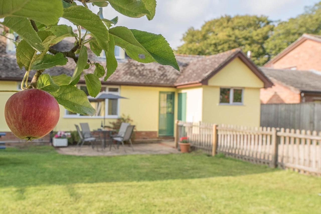 The Spinney Saxtead Nr Framlingham Woodbridge Exterior foto